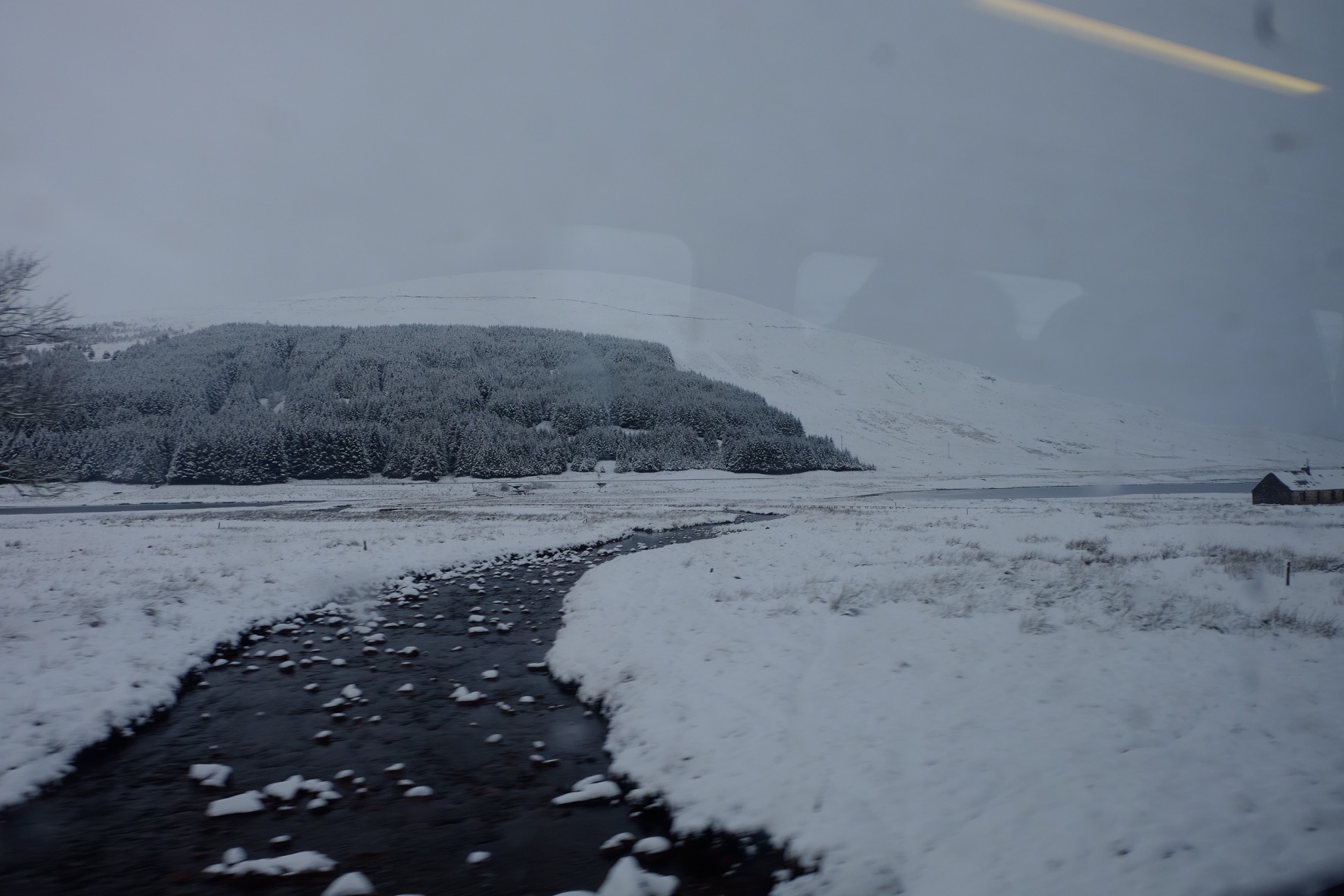 只黑白交错的途中景色